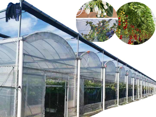 High-quality plastic film multi-span rain shelter greenhouse